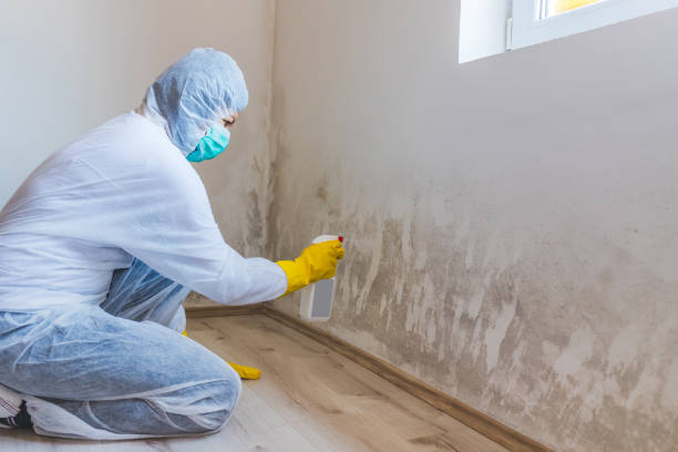 Mold Remediation specialist working in Farmingdale